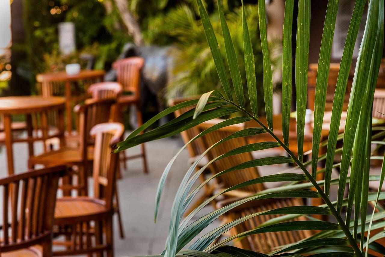 Chillout Hotel Tres Mares Тарифа Экстерьер фото
